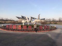 -盐城丹顶鹤湿地生态旅游区