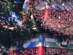 -开福禅寺