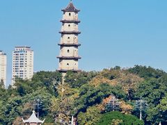 -江心屿景区