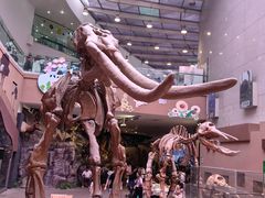 -陕西自然博物馆