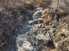 -北京西山国家森林公园