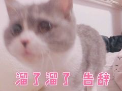 -肯德基(常熟百润发店)