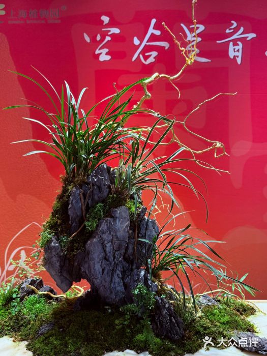 上海植物园-4号门售票处图片