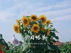 -莫日格勒旅游景区