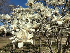 -中国人民抗日战争纪念雕塑园