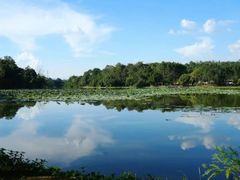 -南宁良凤江国家森林公园