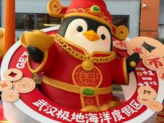 -海合安武汉极地海洋公园