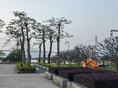 -芒洲湿地公园