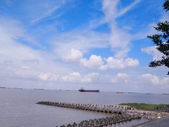 -上海滨江森林公园