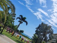 -糟粕醋·椰苑海南菜餐厅(亚龙湾天域酒店)