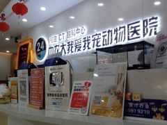 -中农大我爱我爱24h动物医院·中医针灸·猫专科·骨科医疗中心(双井店)