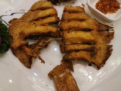 -金龙渔港(双楠店)