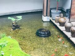 -几荷·恰似故人来(秀水广场店)