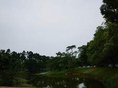 -松山湖凯悦酒店·Café自助餐厅·周末火舞秀表演