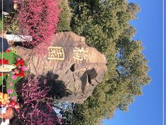 -无锡梅园公园