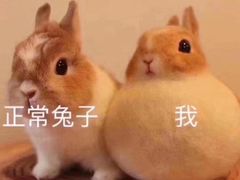 -合合大冷面(湖南店)