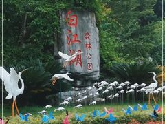 -广州白江湖森林公园