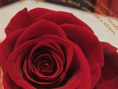 -Golden Lily河内巴黎法越料理餐厅(建国西路店)