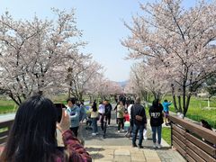 -长田漾湿地公园