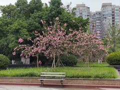 -沙河三洞古桥公园