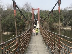 -吴淞炮台湾湿地森林公园烧烤区