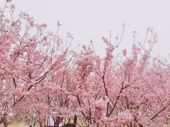 -福建鲤鱼洲酒店