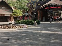-海南槟榔谷黎苗文化旅游区