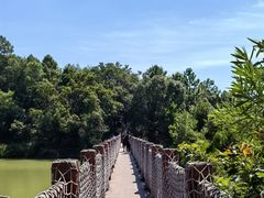 -广州白江湖森林公园