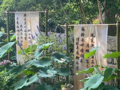 -杭州植物园