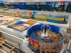 -北塘海鲜·天津菜·鲅鱼水饺是一绝(大光明桥旗舰店)