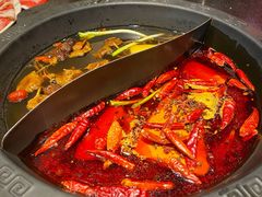 菌汤鸳鸯锅-宽板凳老灶火锅(外馆斜街店)