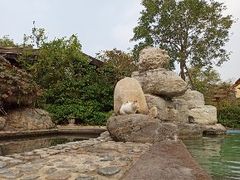 -仁爱团泊湖温泉中心