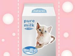 -70cat德文卷毛猫·缅因猫纯种猫舍