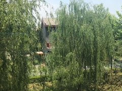 -白洋淀景区