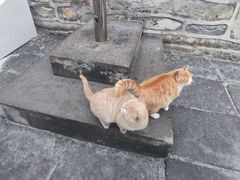 -终南山南五台景区