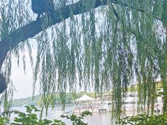 -天目湖山水园