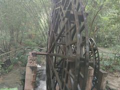-大屏嶂森林公园