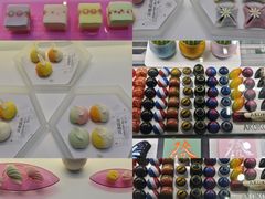 -国家会展中心