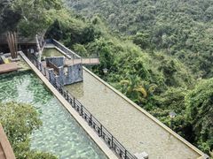 -三亚亚龙湾人间天堂鸟巢度假村