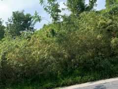 -上海海事大学(临港校区)