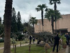 -自贡恐龙博物馆