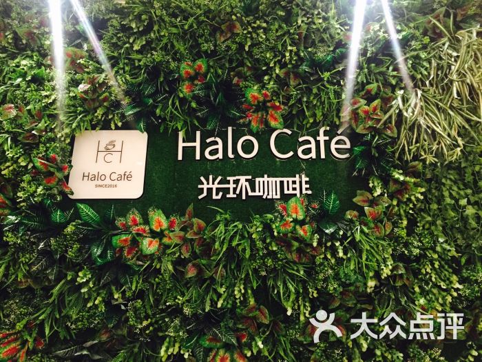 光环咖啡halocafé图片 第4张