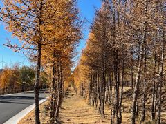 -草原天路(张北县)