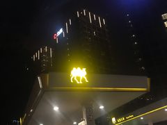 -冠德石油方兴达加油站