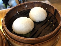 茨毛圆子-双塔老饭店