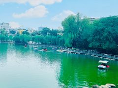 -莲湖公园