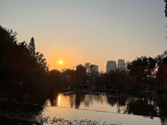 -云溪植物园