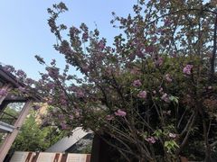 -杭州市第一人民医院(湖滨院区)