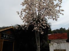 -冶父山国家森林公园
