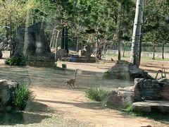 -秦皇岛野生动物园